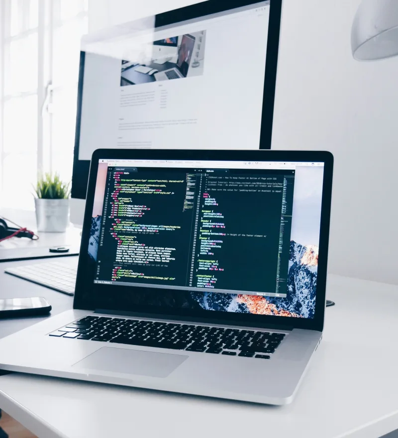 Web development